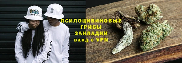 соль курить ск Арсеньев